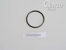 CL65-0200 O-Ring