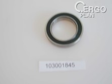 BL65-0380 Bearing