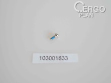 SPP20X050 Set Screw 2x5