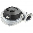  - Motor pro BOFA 250, A1050014